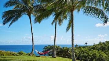 A hammock between palm trees overlooking a clear blue ocean.