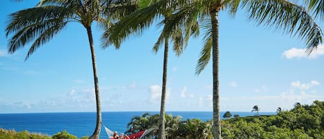A hammock between palm trees overlooking a clear blue ocean.