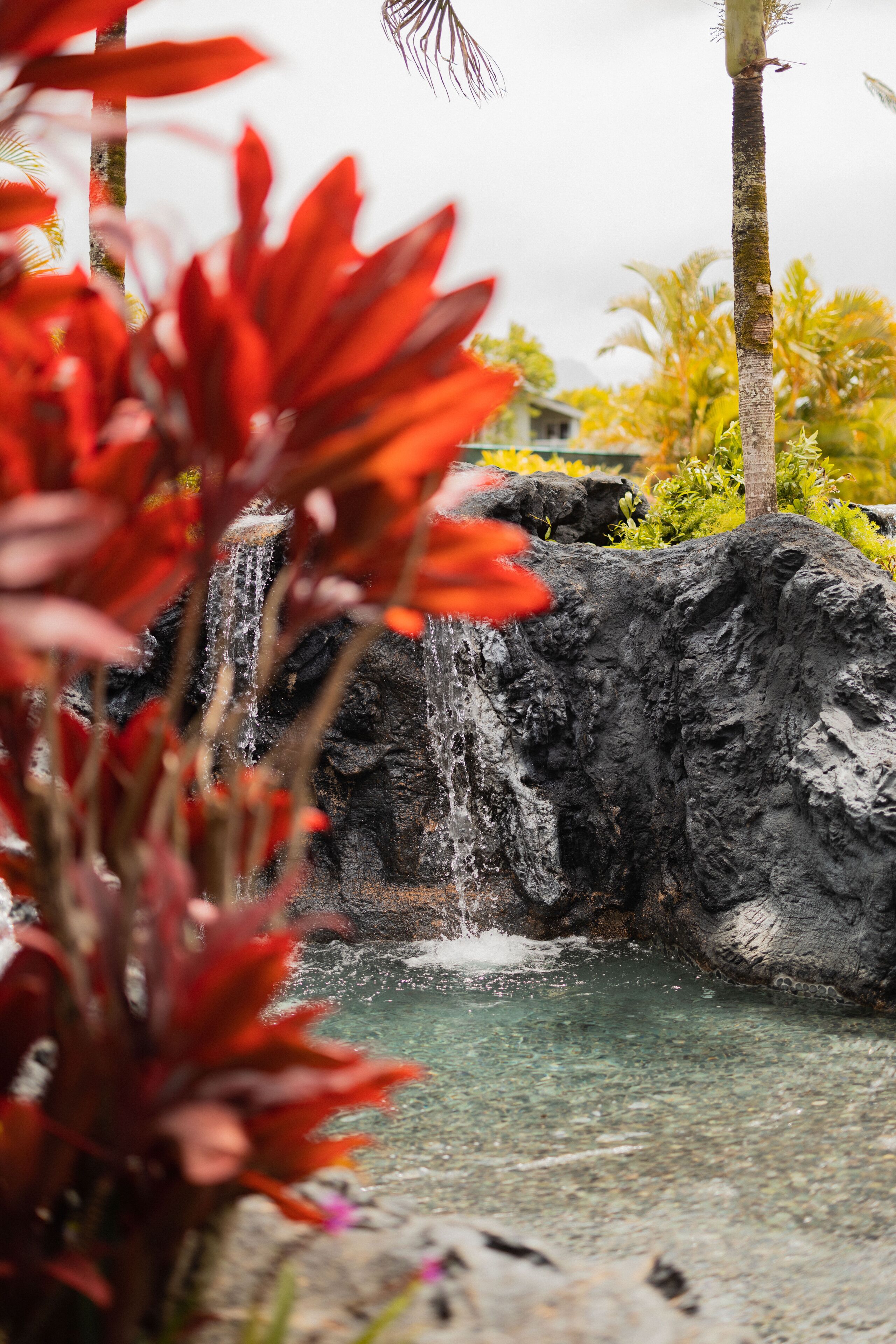 Una cascada se precipita sobre rocas volcánicas oscuras en una piscina cristalina, rodeada de vegetación exuberante y plantas tropicales.