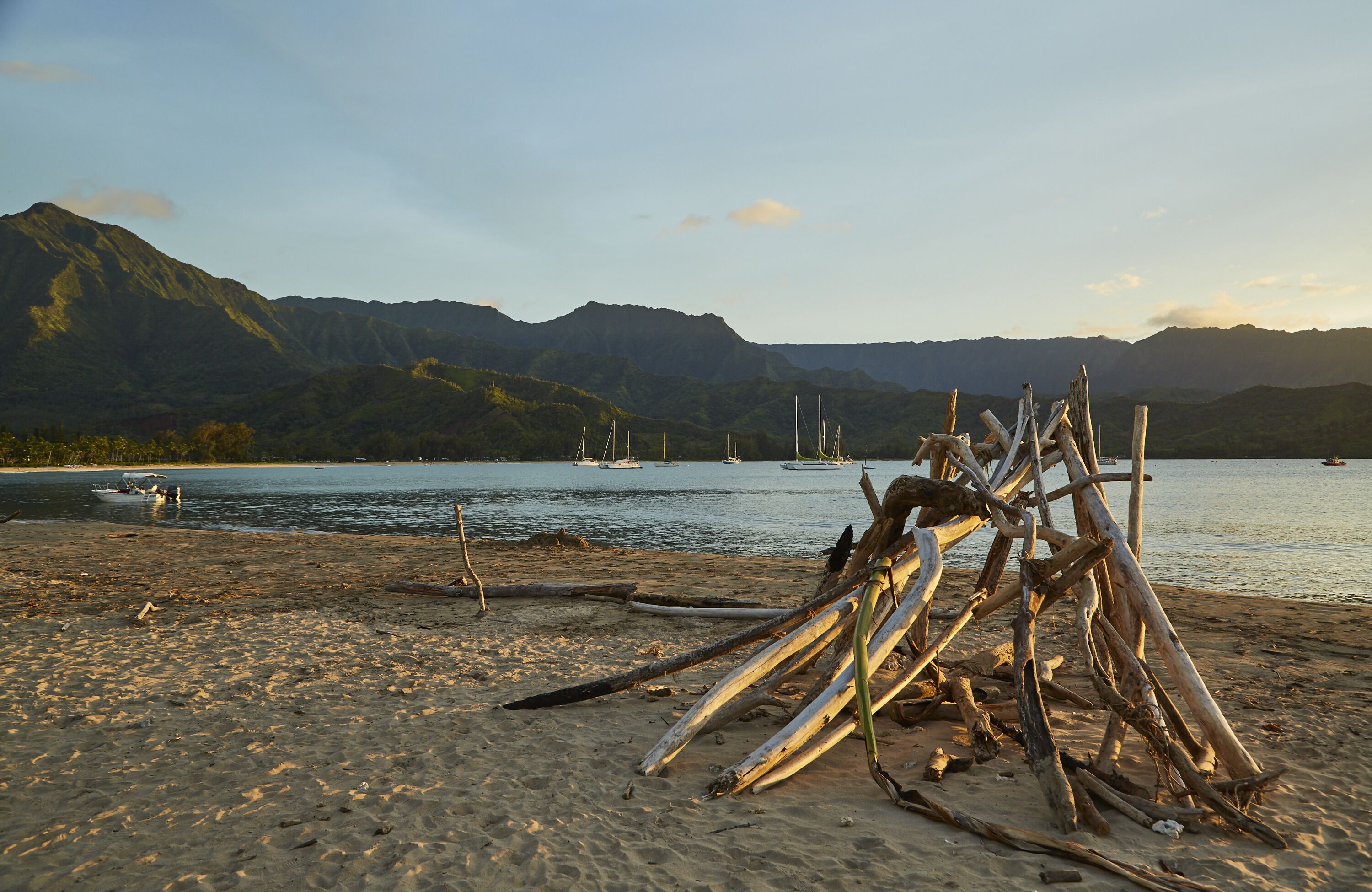 A beach with driftwood, calm water, boats, and mountains in the background.