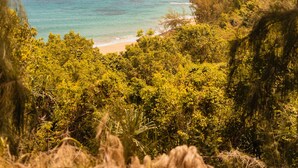 A coastal landscape with a beach, ocean, and dense greenery. - The Cliffs at Princeville (Princeville)