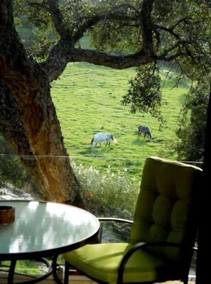 Balcony - Herdade do Moinho Novo (Montijo)