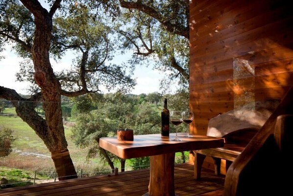 Appartement, 1 chambre | Balcon