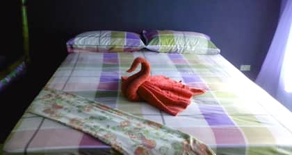 Friendship Budget Hostel