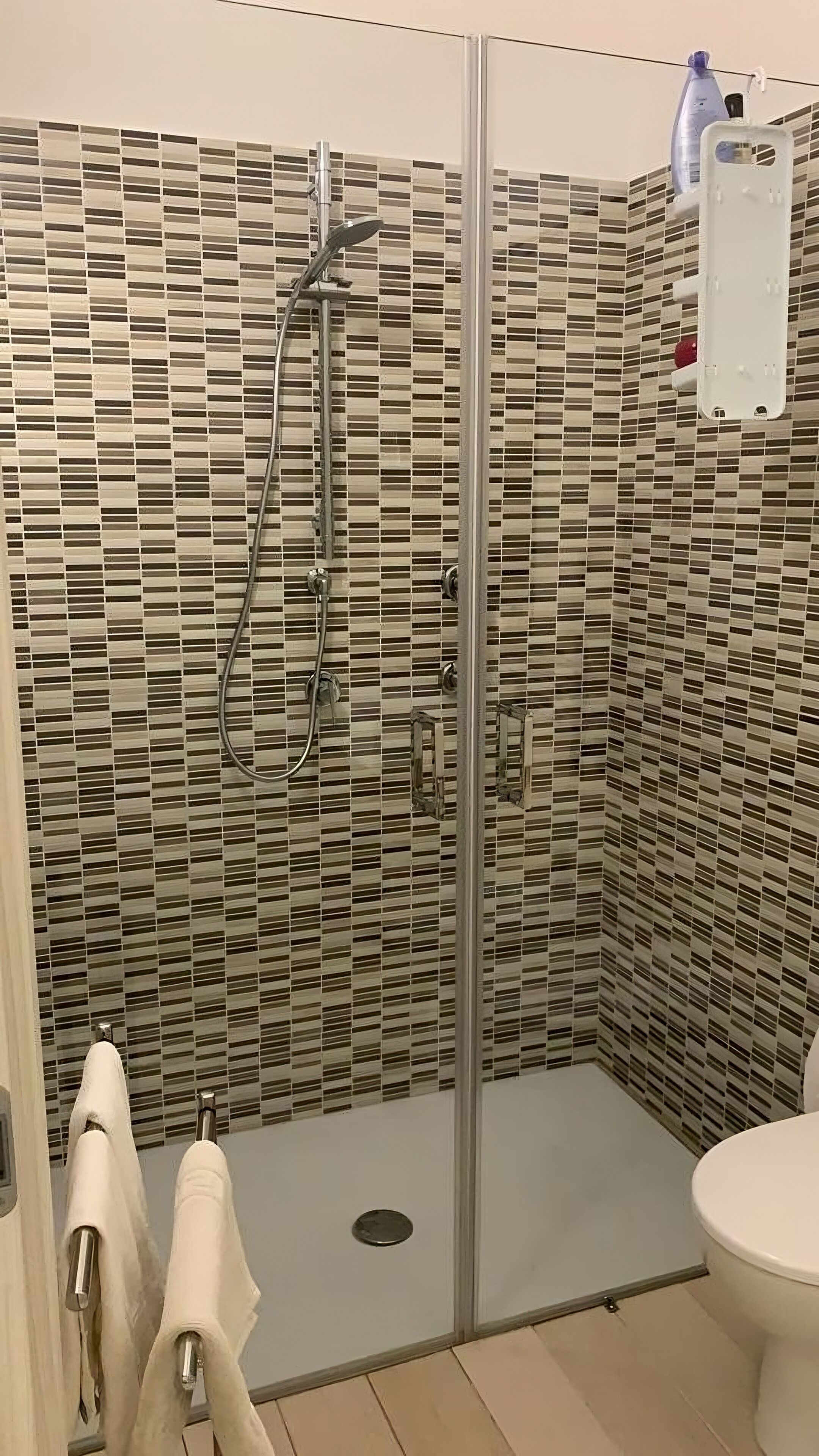 traditional double room, annex building | bathroom | shower, free toiletries, hair dryer, towels