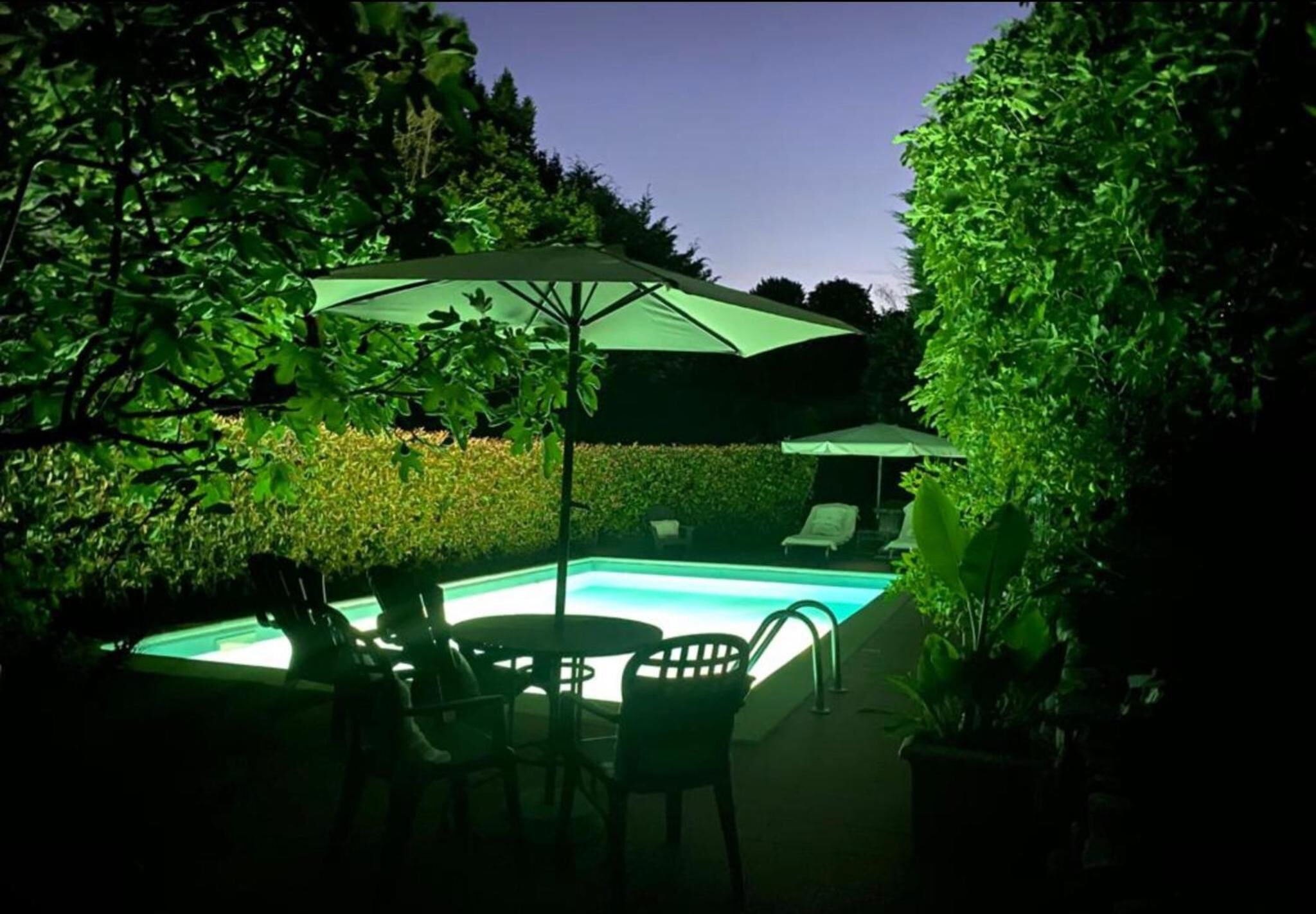 Ein Swimmingpool mit einem grünen Sonnenschirm, umgeben von Stühlen und einem Tisch, inmitten eines Gartens mit üppiger Vegetation.
