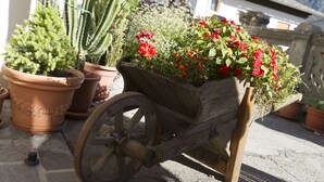 Un carro de fusta ple de plantes i flors en testos a un patio.