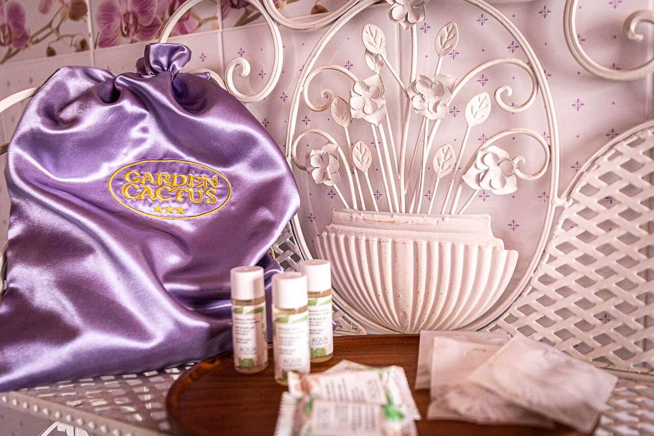 Photo - Garden Cactus