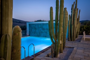 Outdoor pool, pool umbrellas, pool loungers