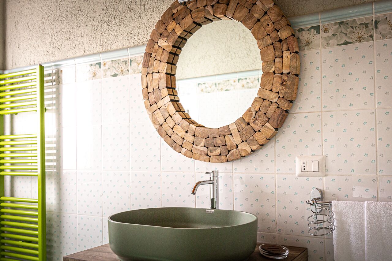 Photo - Garden Cactus