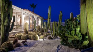 Un jardín desértico con diversos cactus y un edificio con puertas y ventanas de vidrio.