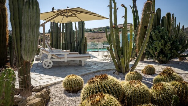 Un jardín desértico con cactus, piscina y sillones de descanso bajo una pérgola.