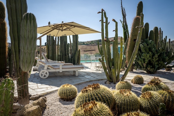 Alberca al aire libre, sombrillas en la alberca y camastros