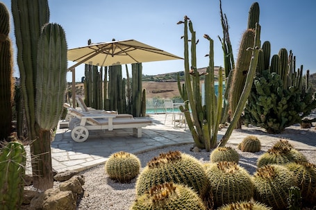 Außenpool, Sonnenschirme, Liegestühle. Relais Garden Cactus B&B