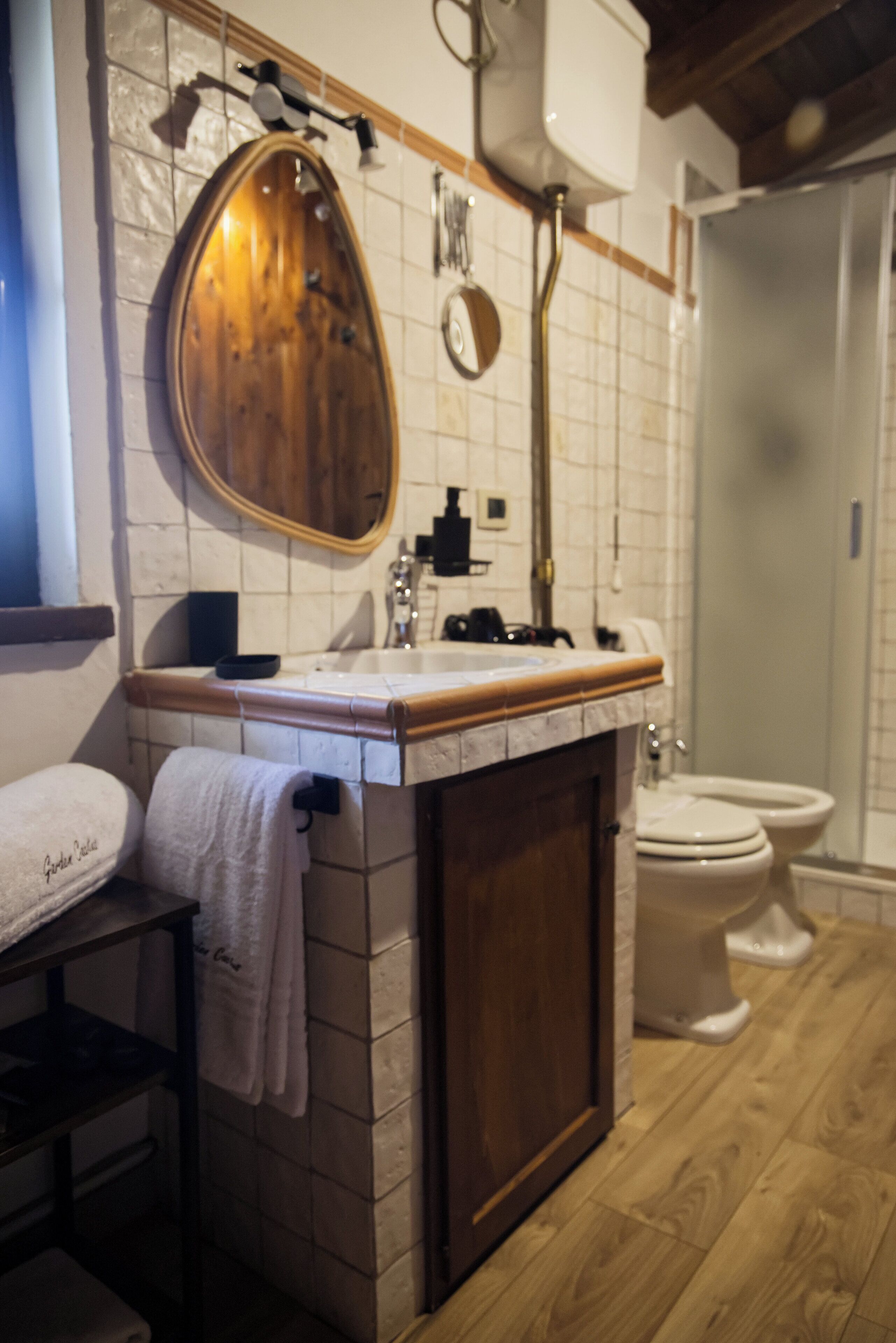 Photo - Garden Cactus