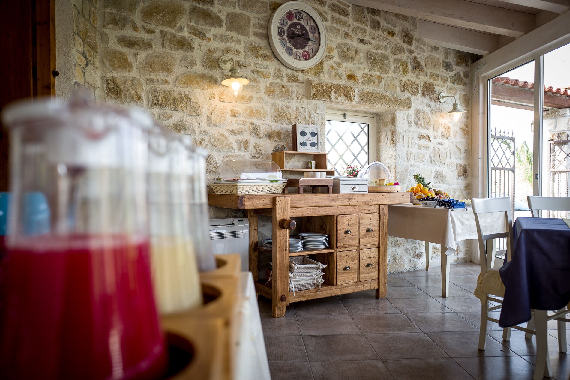 Photo - Garden Cactus