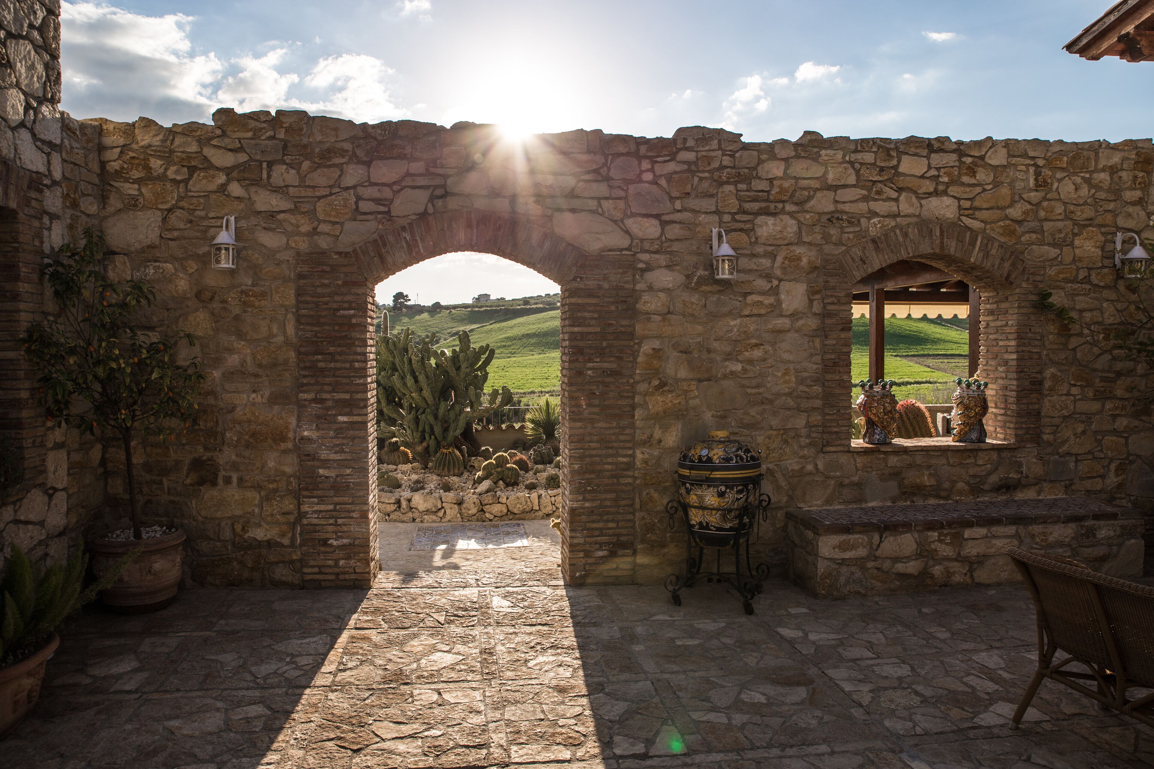 Photo - Garden Cactus