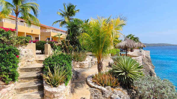 A coastal hotel with a stone pathway leading to a pool area, surrounded by tropical plants and a view of the sea.