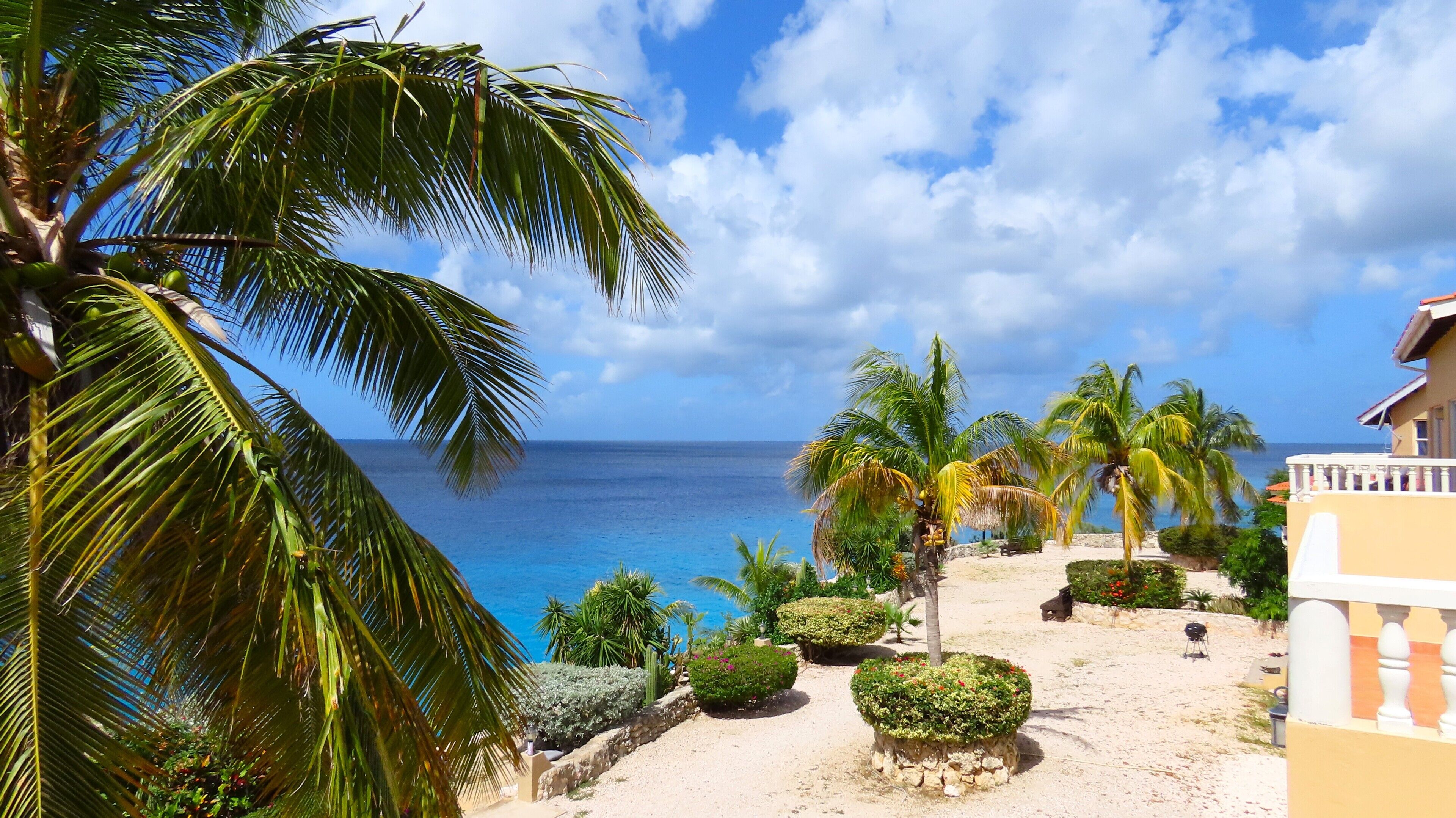 A tropical resort with a view of the ocean, palm trees, and a sandy pathway.