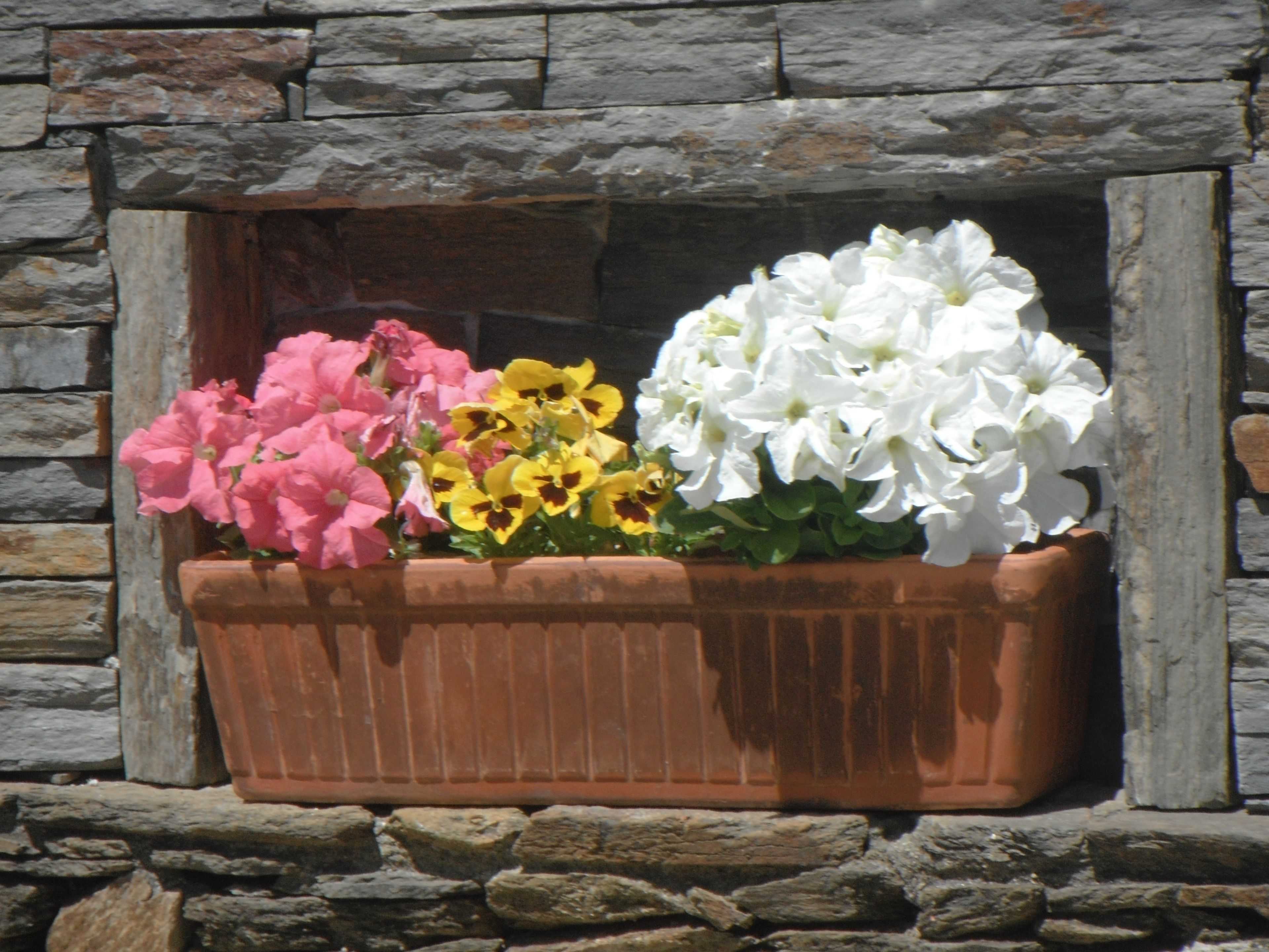 A flower box with pink, yellow, and white flowers against a stone wall.