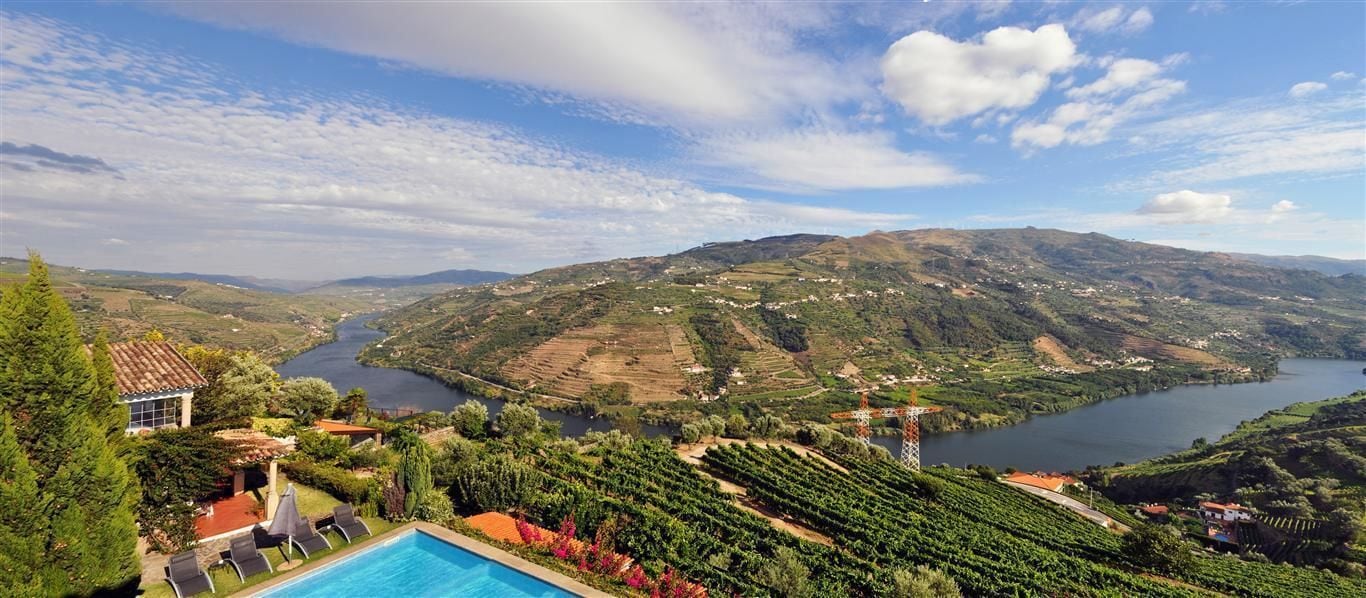 A scenic view of a vineyard with a swimming pool and a large body of water in the background.