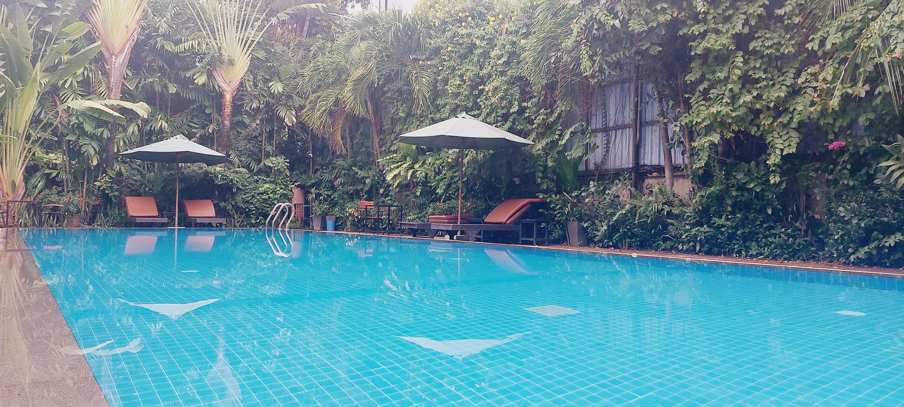 outdoor pool, pool umbrellas, pool loungers