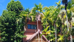 A pool with lounge chairs, surrounded by tropical vegetation and a building with a tiled roof. - Kouprey Hotel (Siem Reap)