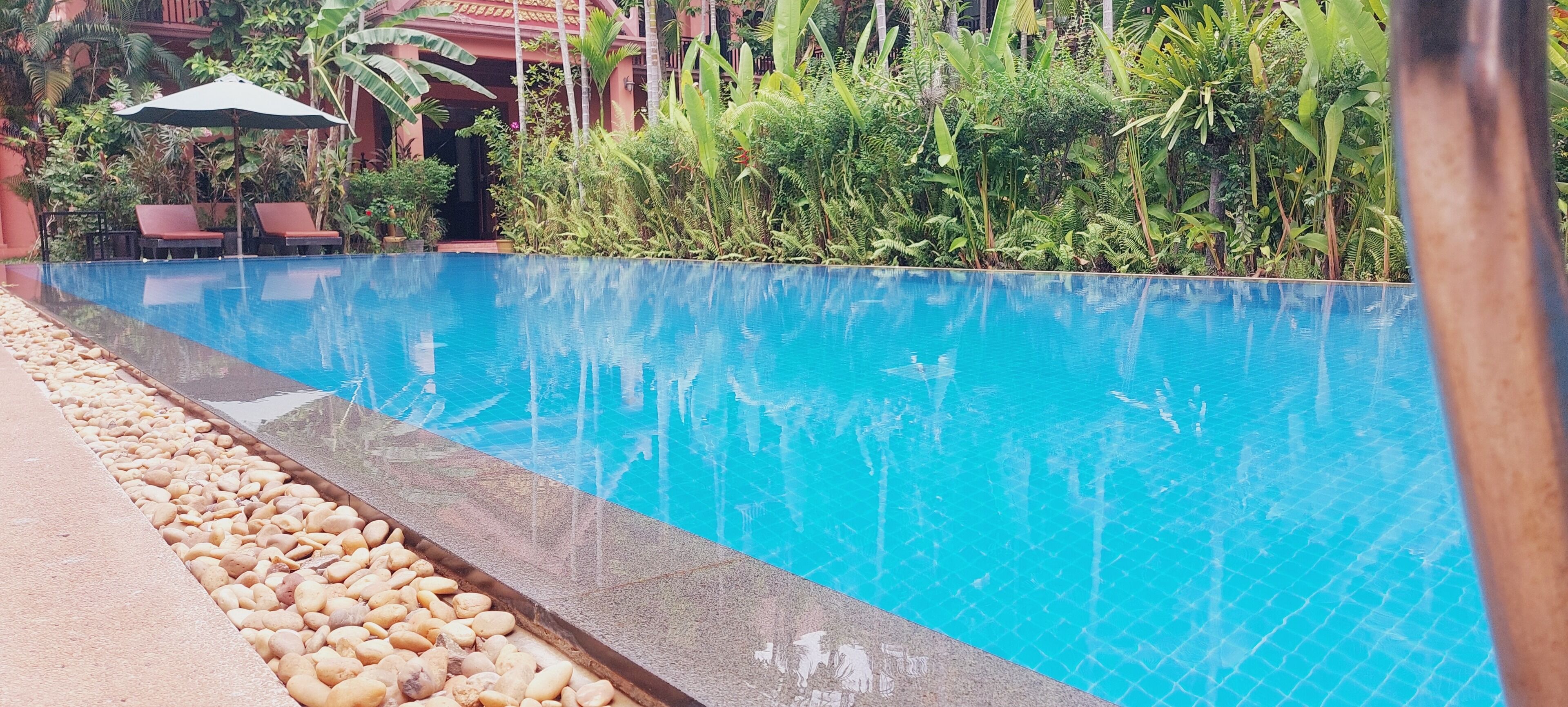 A swimming pool with clear blue water, surrounded by pebbles and plants.