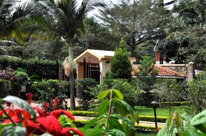 Jardín