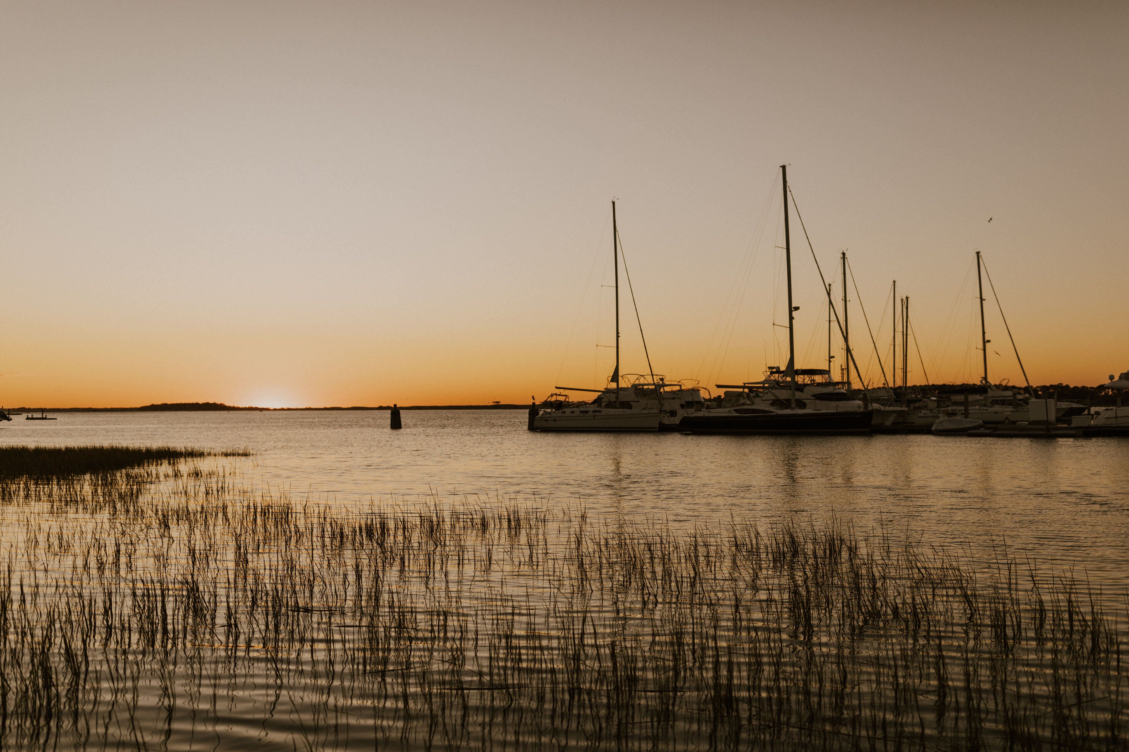 A marina with several sailboats docked at sunset.