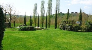 Garden - Podere La Chiusella (Rapolano Terme)