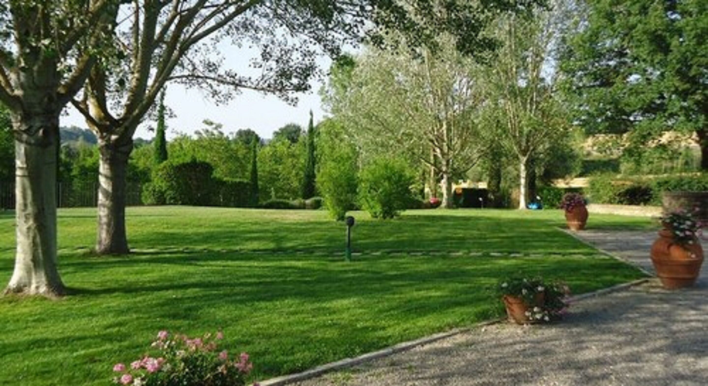 A well-maintained garden with a variety of trees and shrubs, a clear pathway, and a small lawn area.