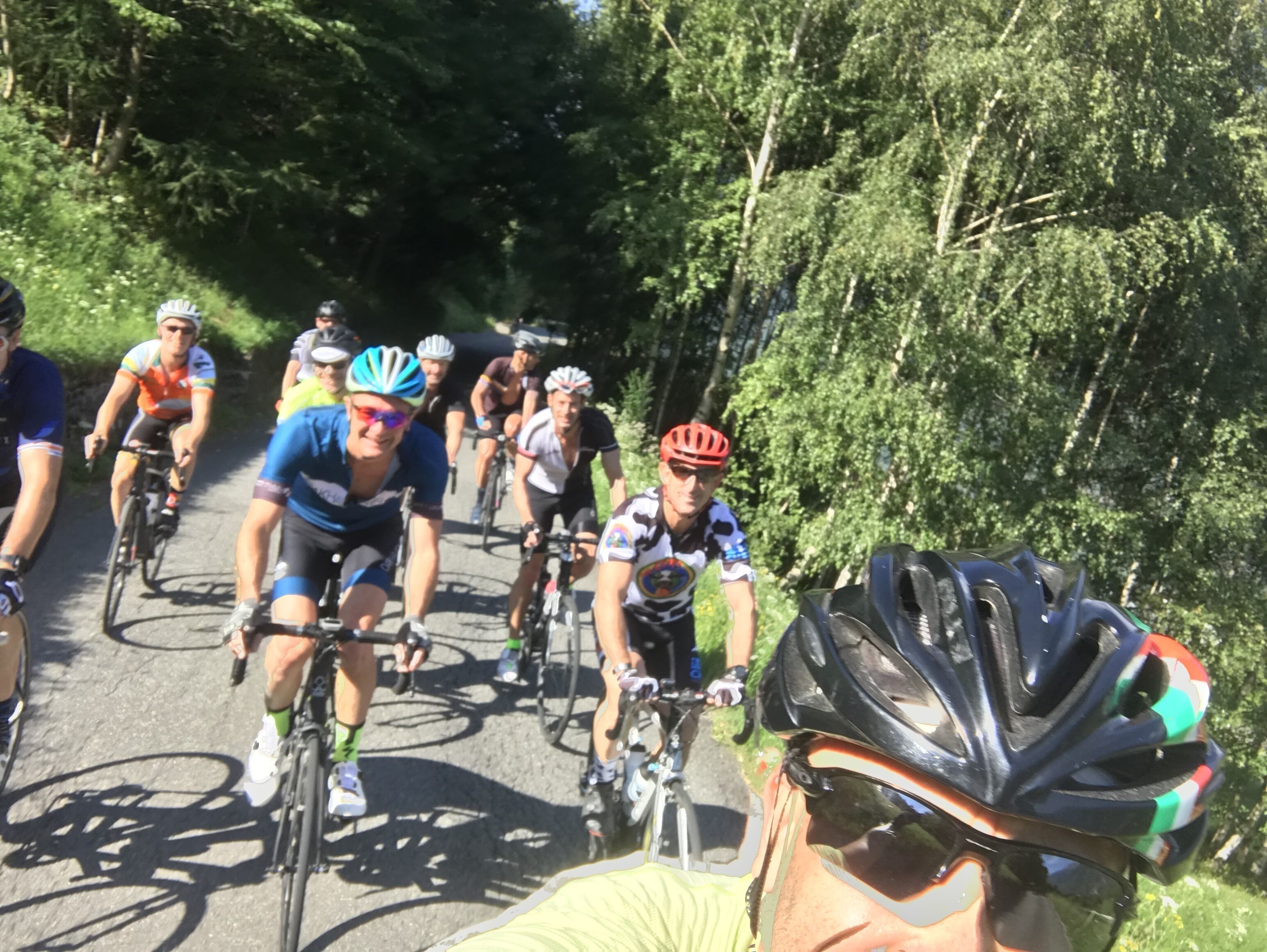 A group of cyclists on a paved road surrounded by trees.