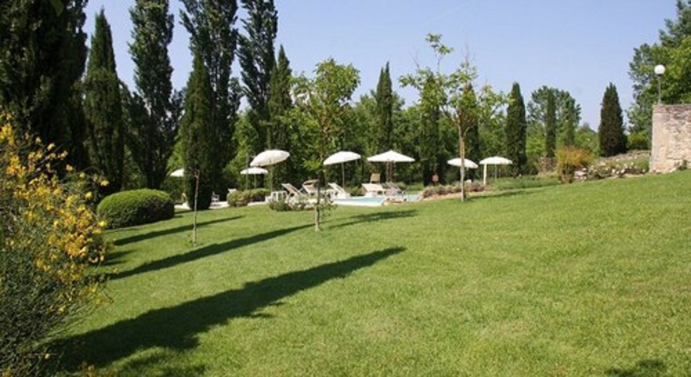 A grassy area with several umbrellas, a swimming pool, and trees.