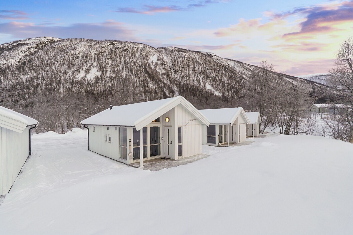 Un paisaje nevado con una hilera de cabañas blancas.