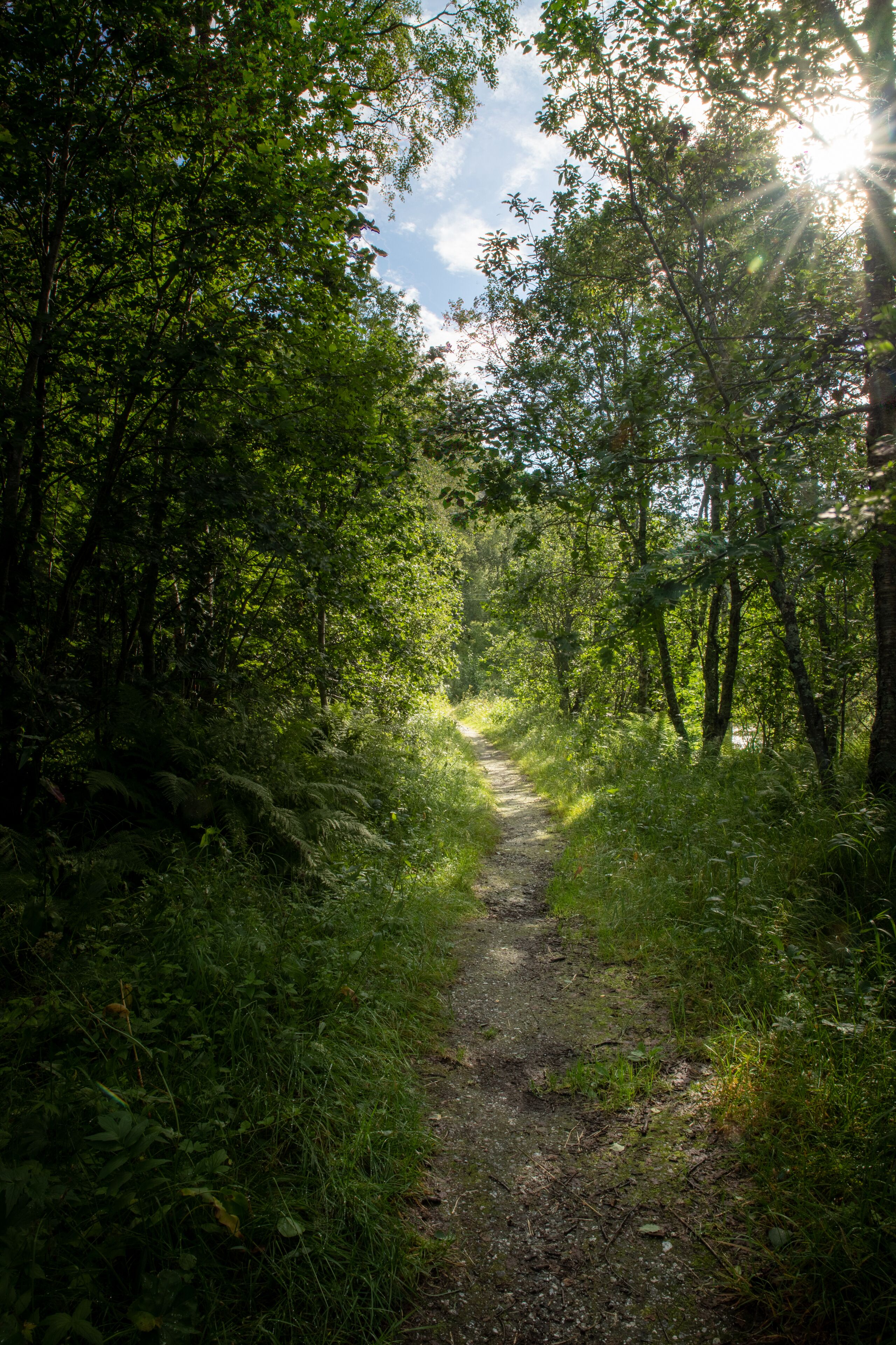 Foto - Tromsø Lodge & Camping