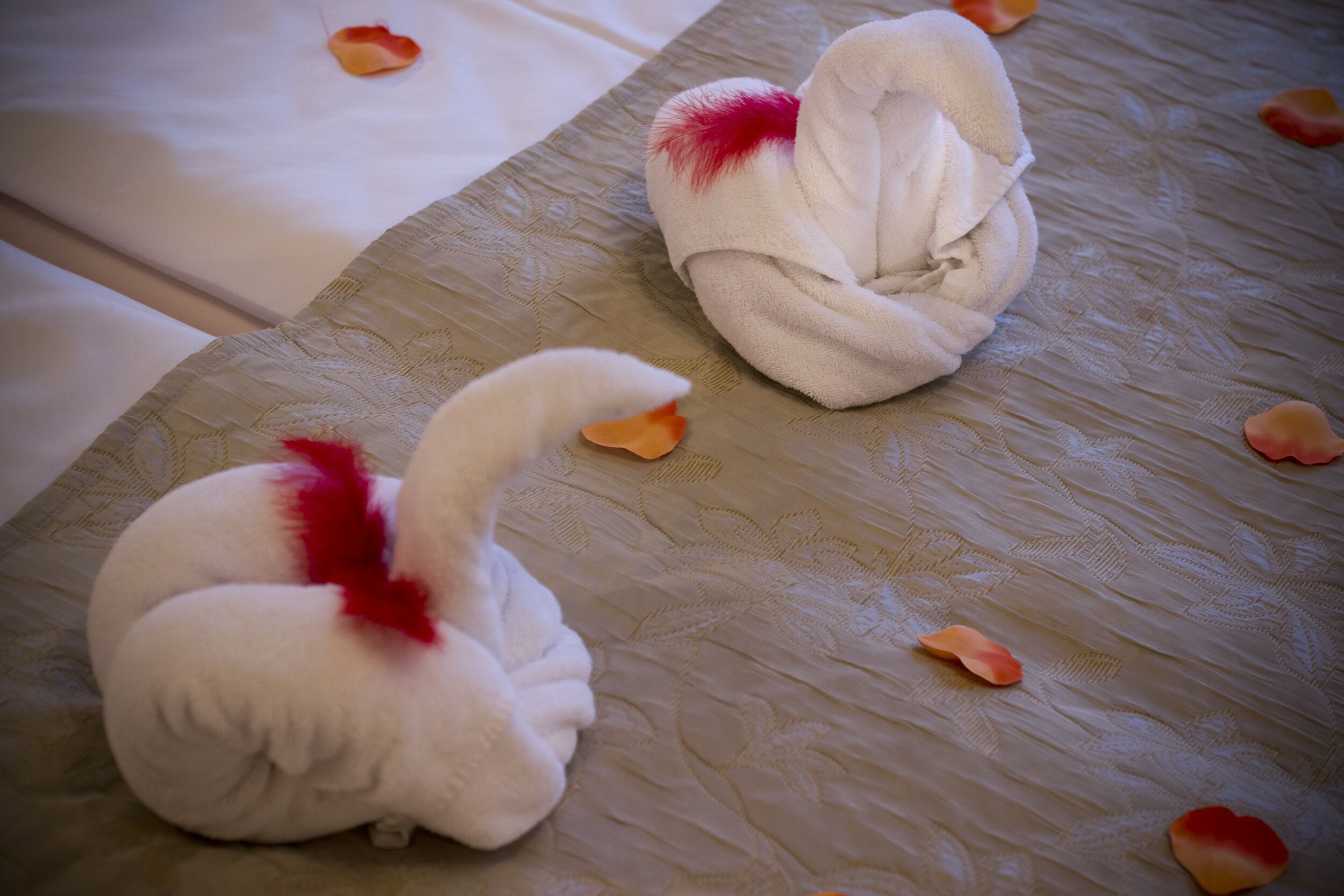 Foto - Spa hotel Čajkovskij