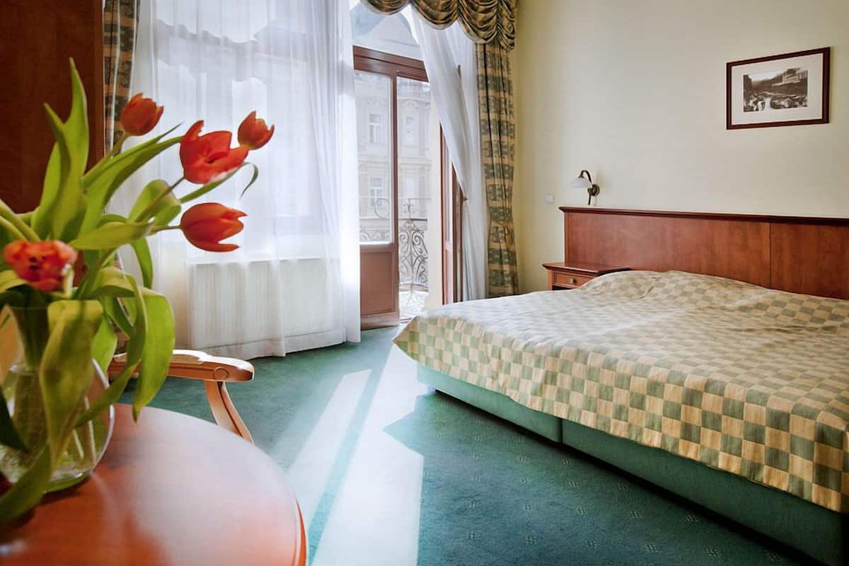 Double or Twin Room (Wellness Spa package)