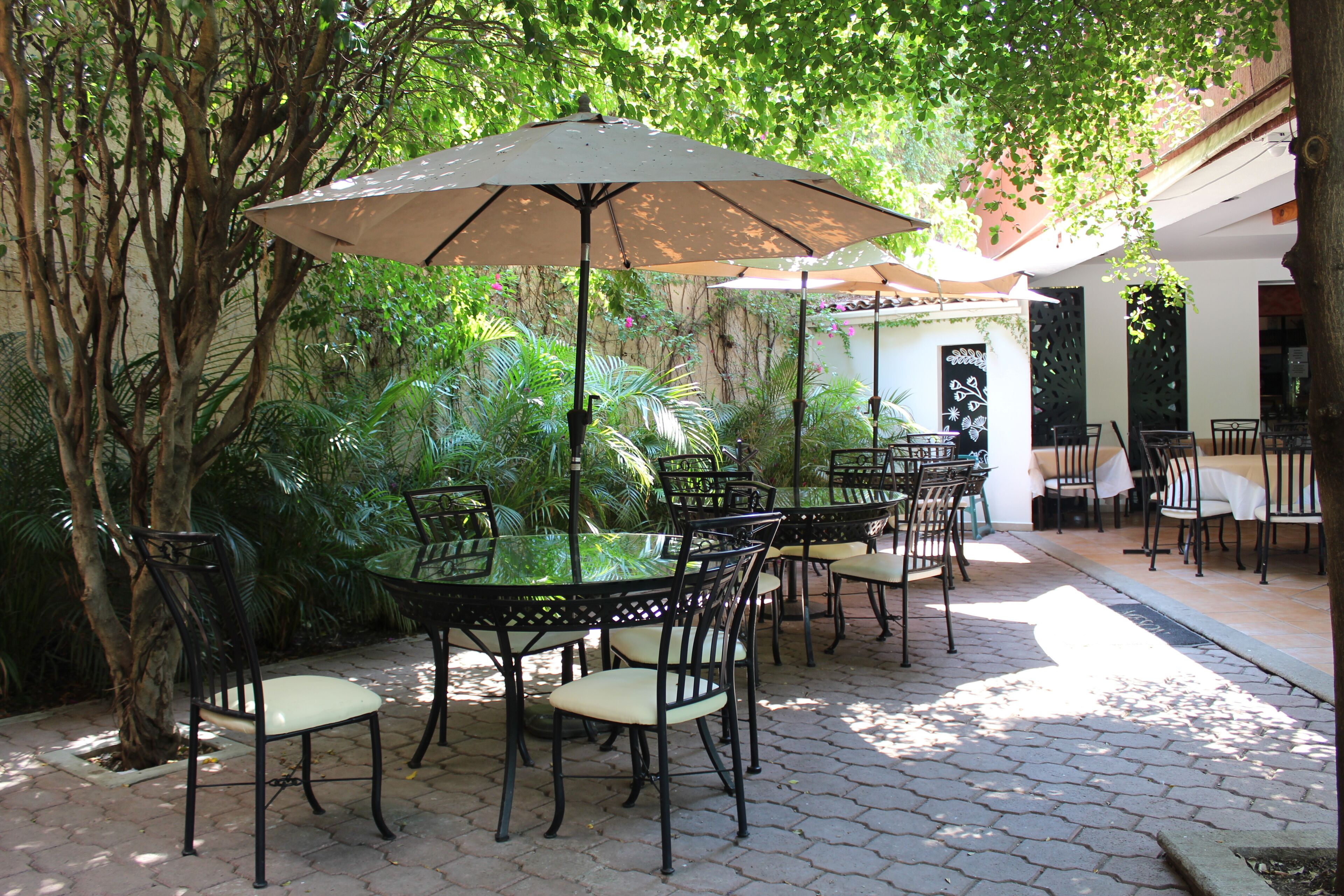 Un patio al aire libre con mesas y sillas, rodeado de follaje y árboles.