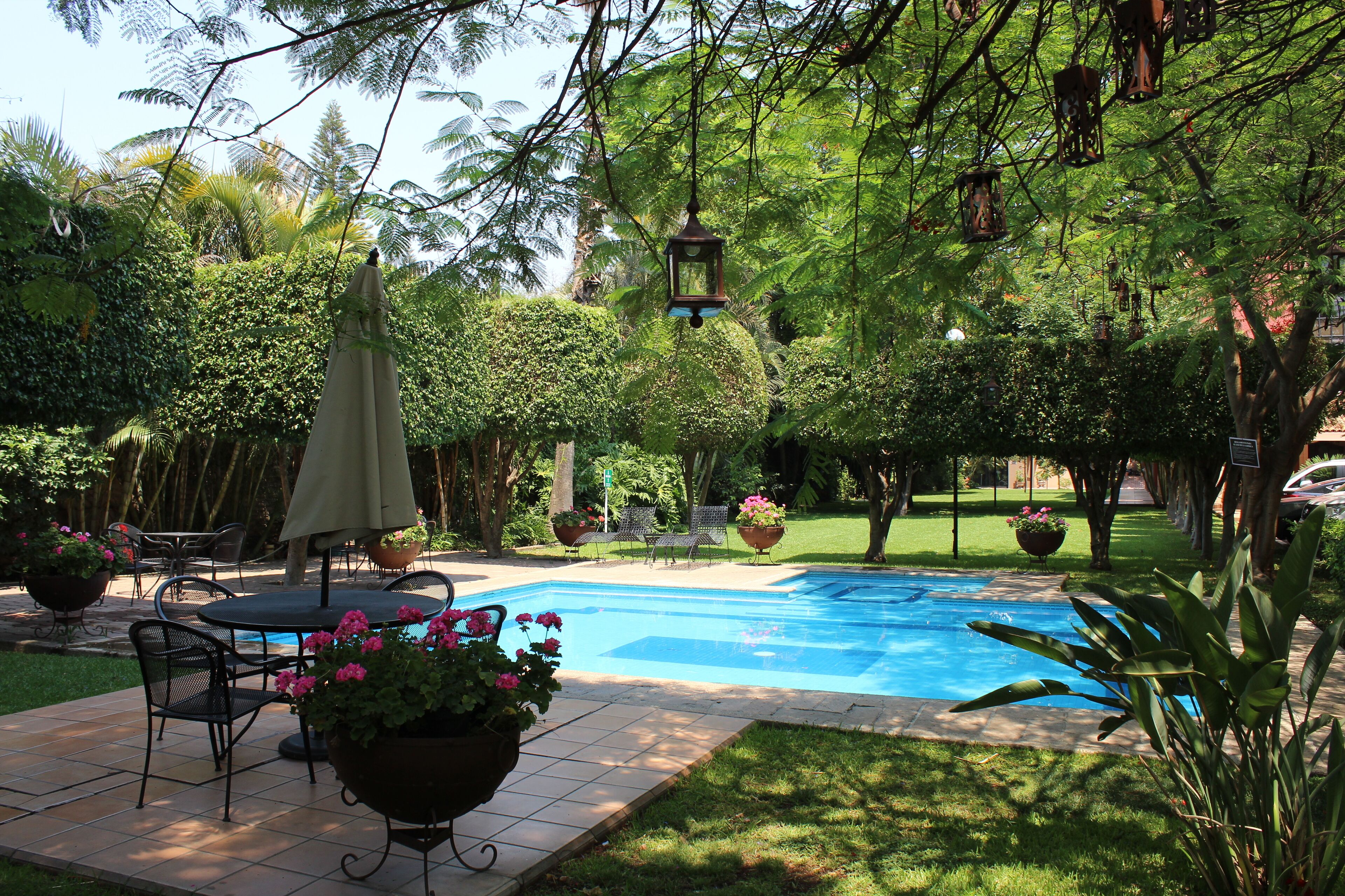 室外游泳池，池畔遮阳伞，日光浴躺椅