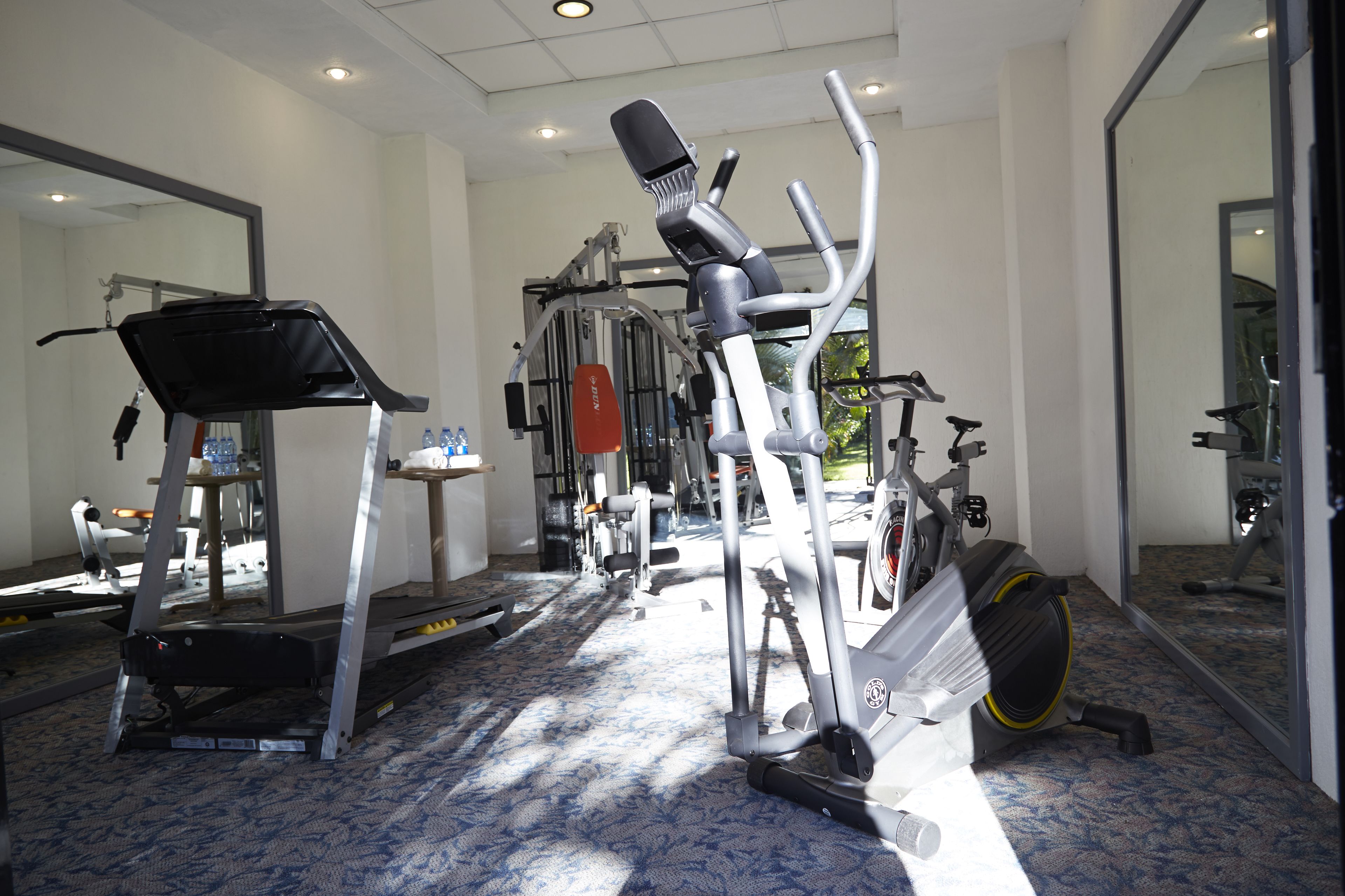 Un gimnasio con diversos equipos de ejercicio, como cintas de correr, elípticas y bicicletas estáticas.