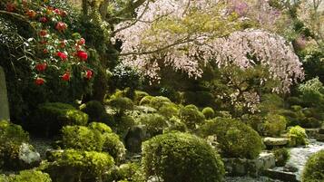 A traditional Japanese garden with meticulously maintained bushes, a small stream, and cherry blossoms.