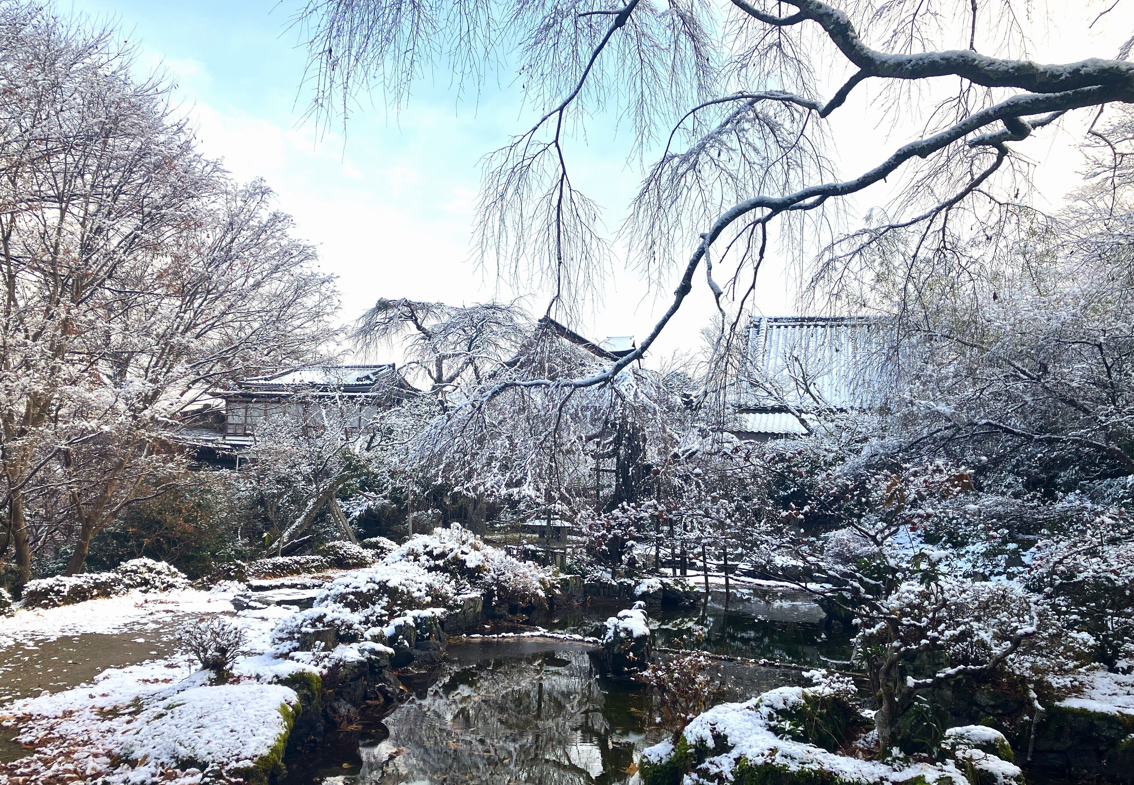A traditional Japanese garden with a pond, snow-covered trees, and a wooden bridge.