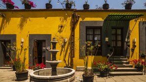 Un patio con una fuente, plantas en macetas y un edificio amarillo con toldo verde.