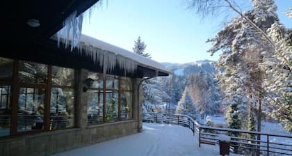 Hotel Bor
