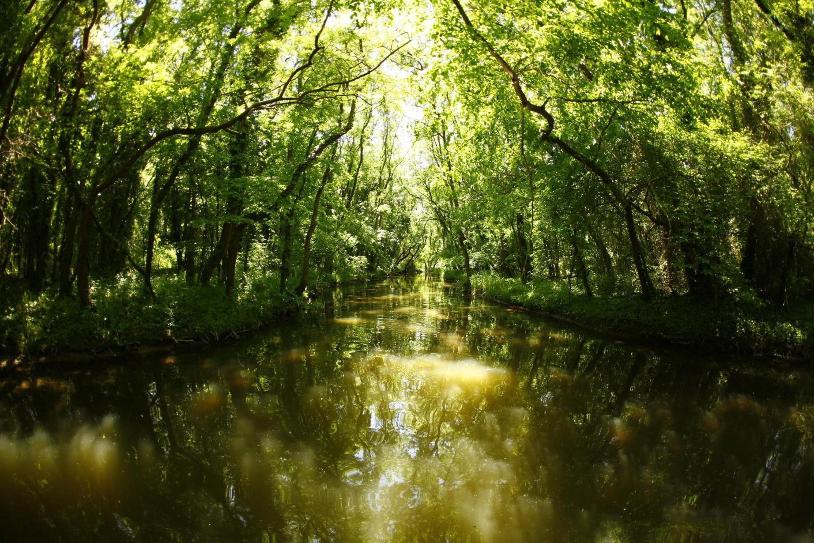 Photo - Hotel Slavuna