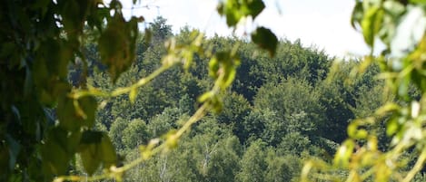 Piscine extérieure (ouverte en saison)