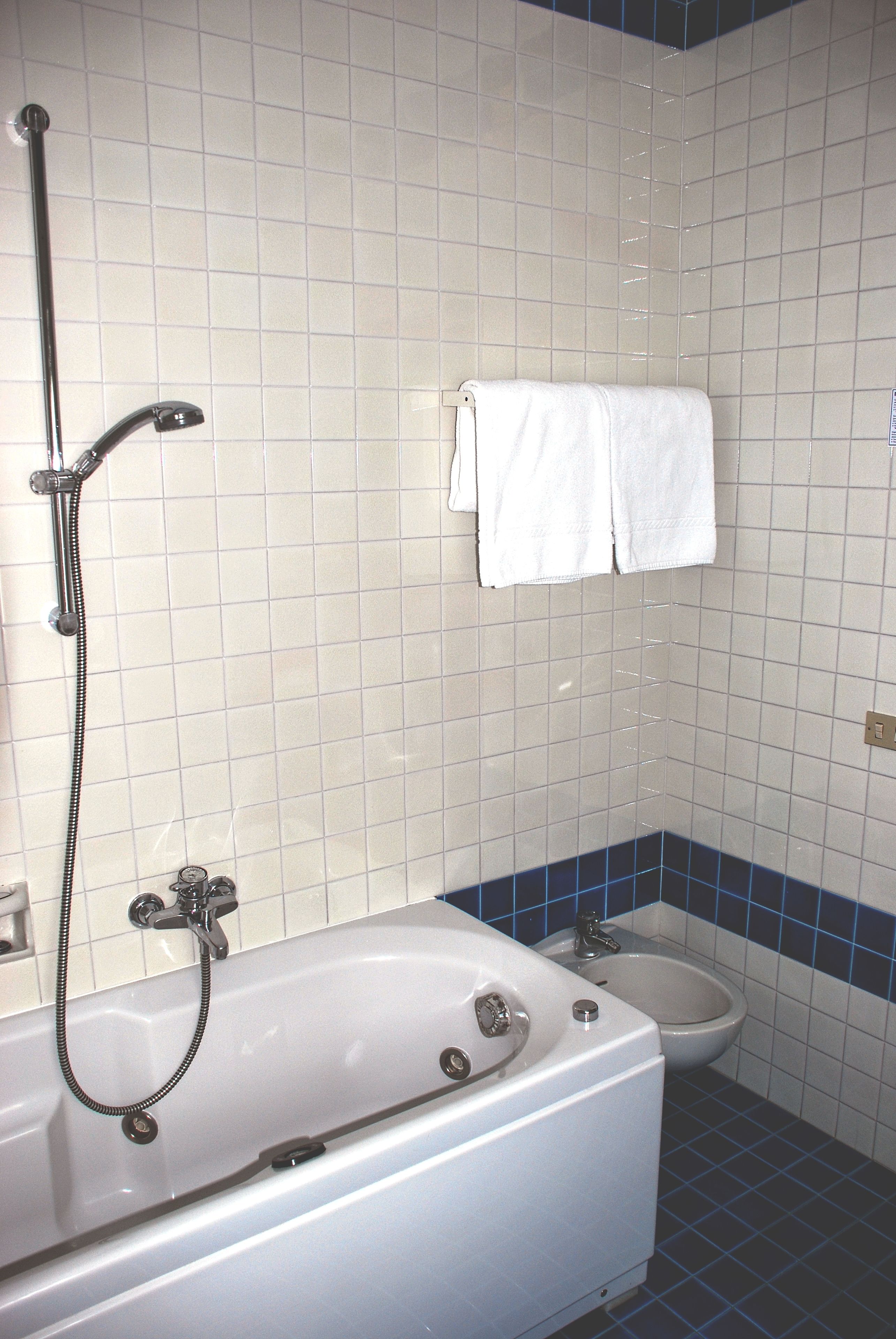 free toiletries, hair dryer, slippers, bidet