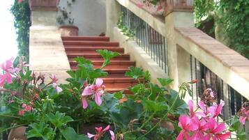 Appartement, 2 chambres