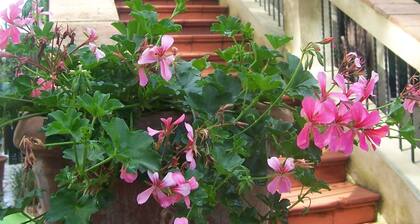 Agriturismo Paradiso